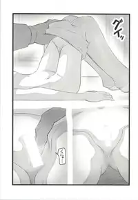 [Aairu Daitoutaku Z (Aairu Mike IX)] Suikan no Aila-san (Gundam Build Fighters)