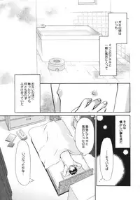 Comic Megaplus Vol 39 [2007-01]