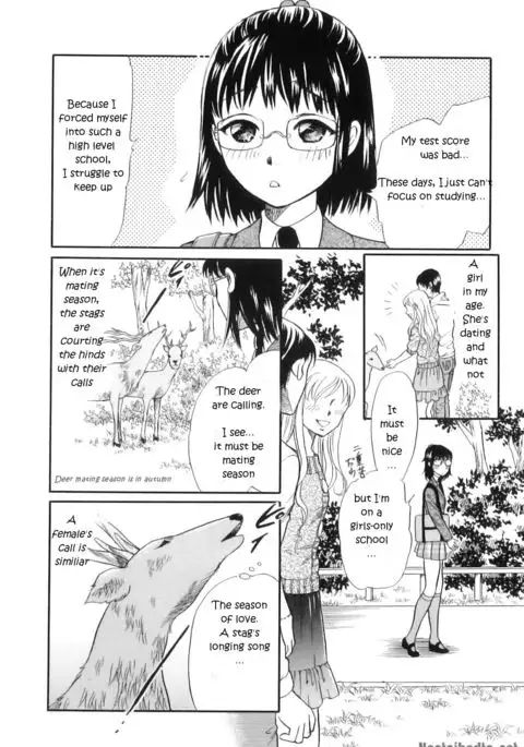 Divine Deer Forest ~Girls' Whereabouts~