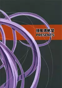 (C66) [Junpuumanpandou (Hida Tatsuo)] Ride on Shooting Star (Fate/stay night) [English] {Brolen} [Incomplete]