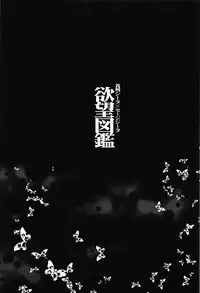 (C91) [LolikyoNEW! (Enu-yamayama)] Gizoku Djeeta x Sage Djeeta Yokubou Zukan (Granblue Fantasy)