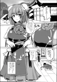 (C94) [Chinchintei (chin)] Chinchintei Oomori Teishoku 2-Haime Soushuuhen Vol. 2 (Touhou Project)