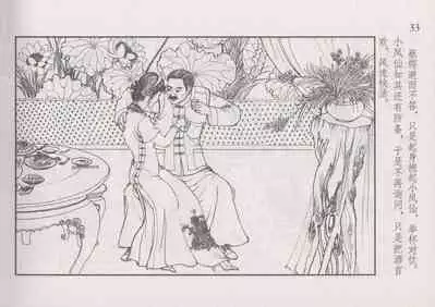 史上名妓 风尘侠女-小凤仙(辜国兴 2013年11月)