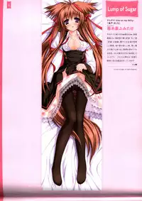 Dakimakura Cover Gashuu Bishoujo Game Hen