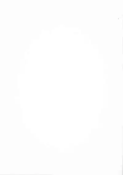 Seigou!! Kurosawa-ryuu Kozukuri Muko Shiken