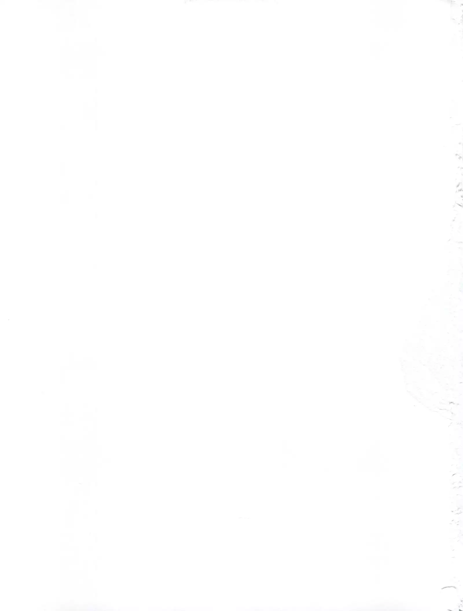 Toaru Pants no Choudenjihou