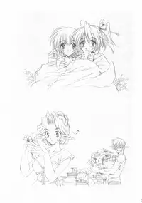 (Puniket 12) [Gin no Hoshitei (Tamiya Akito)] Chained Valkyria ～hakusha no tsuioku～ fuu no zan kage