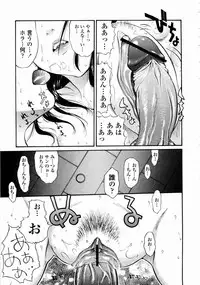 [Mita Ryuusuke] Rose Rosse