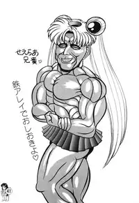 [Tenny Le Tai] Silky Moon (Sailormoon)