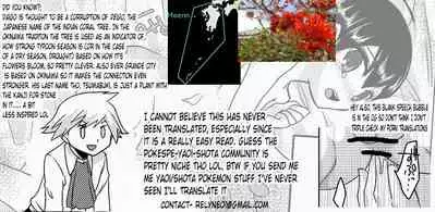 Lily Cat (Pokémon) [English]