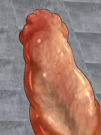 One Piece Marunomi Kyuushuu SEX