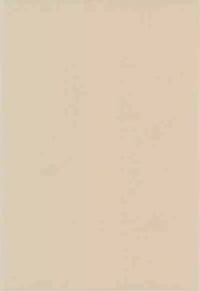 (C58) [Tenny Le Tai (R-Koga, EFINK)] CLUB Neko Maid - Maid Nyar 3