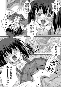 COMIC Mate Legend Vol. 24 2018-12 [Digital]