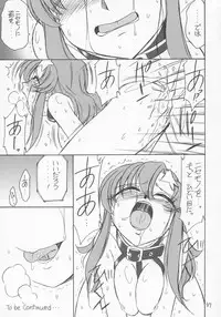 (C68) [EINSATZ GRUPPE (Charlie Nishinaka)] PRISONER 6 The song of the fake (Mobile Suit Gundam SEED Destiny)