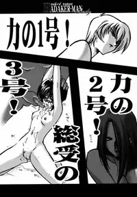 [U-A Daisakusen / Lapislazuli=corporation] Ruridou Gahou X (vol.10) (Dead or Alive)