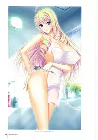 Walkure Romanze More & More Visual Fan Book