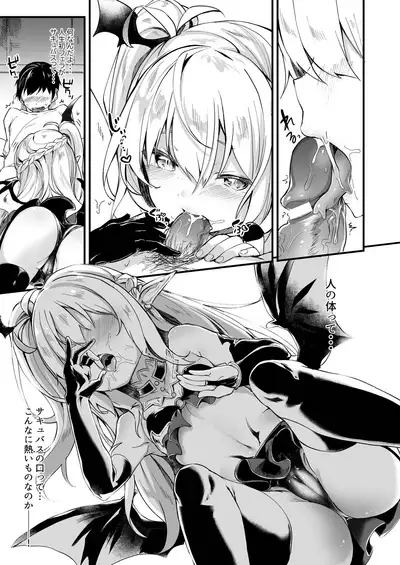 Boku wa Chiisana Succubus no Shimobe Soushuuhen