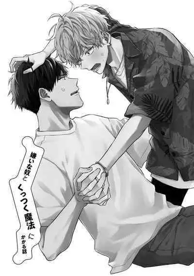 Kirai na Yatsu to Kuttsuku Mahou ni Kakaru Hanashi