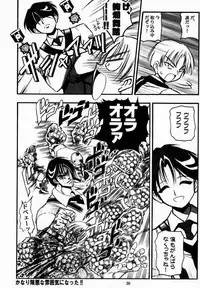 (SC12) [Riroland (Kuuya, Satomi Hiroyuki)] Waga Tamashii, Kuon no Yami Ni (Gunparade March)