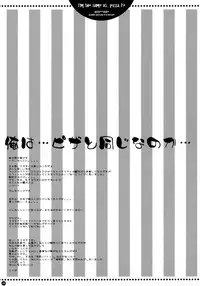 (C73) [PINK (Araiguma)] Ore wa...Pizza to Onaji nano ka... | I'm the same as... Pizza...!? (Code Geass: Lelouch of the Rebellion) [English] [Marie]