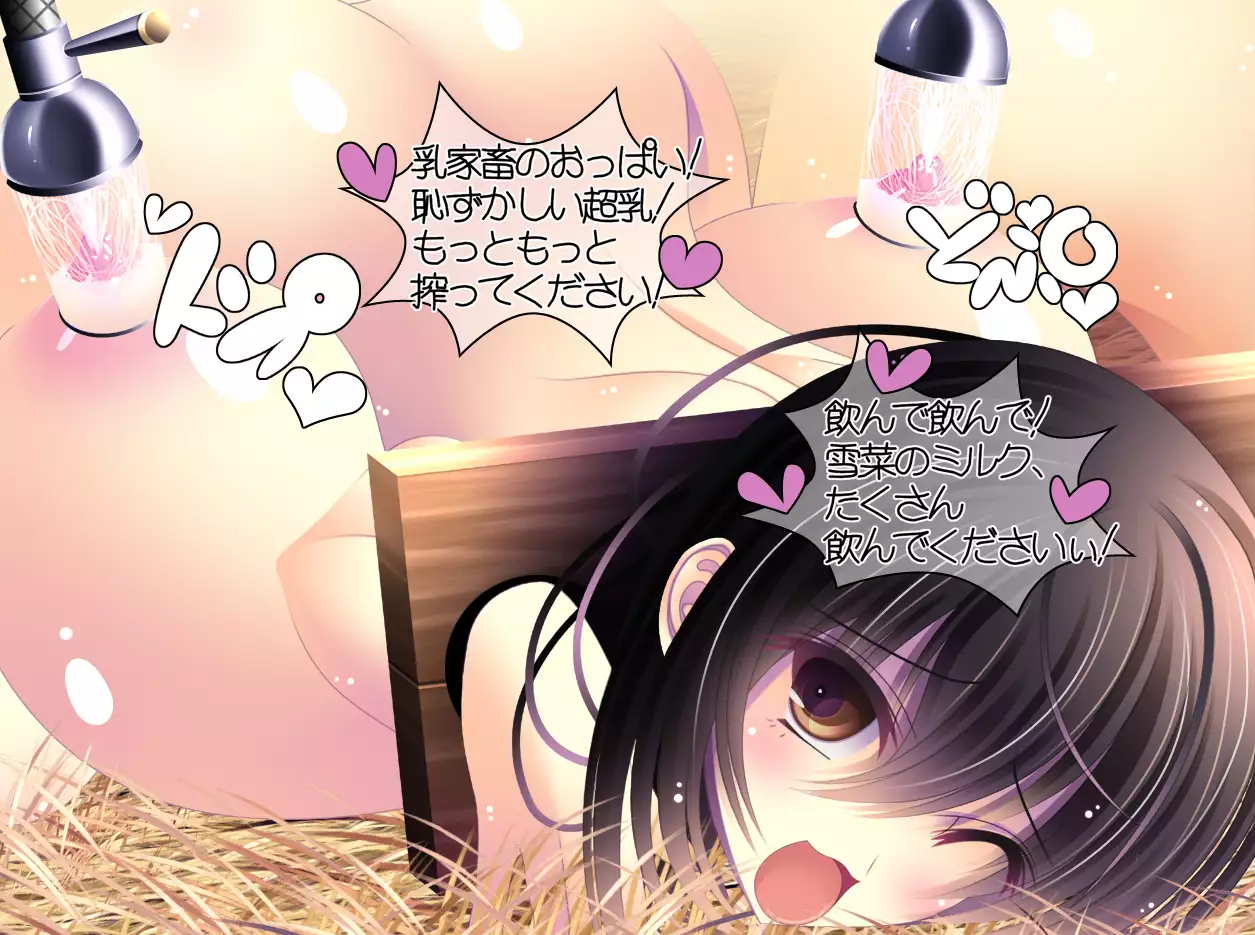 yabure, bakunyu chochichi naedoko ni, benki ni Daraku To sa reru hiroin!~ Hime ￮ setsuna ~