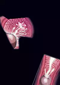 [Studio Mizuyokan (Higashitotsuka Rai Suta)] ALL SLAVES (Precure) [Digital]