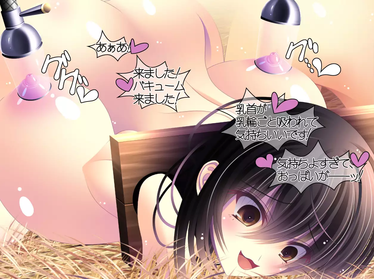 yabure, bakunyu chochichi naedoko ni, benki ni Daraku To sa reru hiroin!~ Hime ￮ setsuna ~