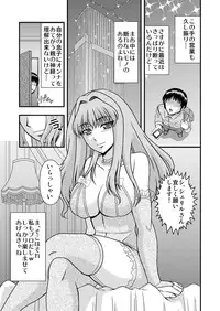[Complete Box (Ayakawa Hisashi)] Sheryl-san niwa Mukanai Shokugyou - An Unsuitable Job for Sheryl (Macross Frontier) [Digital]