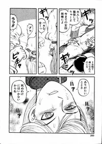 Comic Hime Dorobou 2006-11