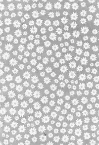 (C55) [Piyokoya (Kobayashi Hiyoko)] Cherry Girls Preparation (CardCaptor Sakura)