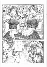 [Kacchuu Musume] Denryu Bakuha Teishoku (Various)