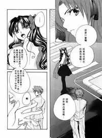 (Mimiket 10) [RED DATA BOOK (Amano Ryuuki)] Albireo (Fate stay night) [Chinese]