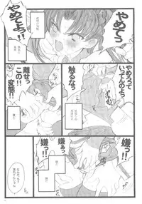 (C70) [Keumaya (Inoue Junichi)] Hyena 2 / Walpurgis no Yoru 2 (Fate/stay night)