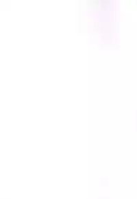 (CT31) [Brand Nyu (Nyu)] Risei Jouhatsu Astolfo (Fate/Grand Order)