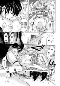 [Toko-ya (HEIZO, Kitoen)] Saint Foire Festival 4 Richildis [Chinese] [翻譯蒟蒻] [Digital]