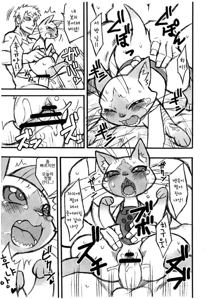 Yoru no Otomo ni Airou wo.