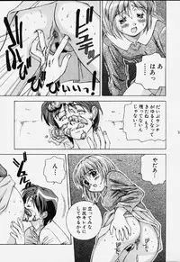 (CSP4) [Doudantsutsujitomonokai (Doudantsutsuji)] Katharsis