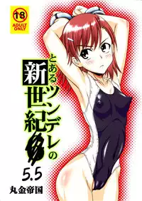 [Marukane Teikoku (Aim)] Tsundere Shinseiki 5.5 (Toaru Kagaku no Railgun)