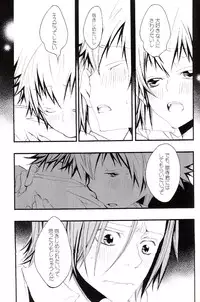 (C73) [BBP (Izumi Bouko)] Tadashii Maid no Susume (Katekyoo Hitman REBORN!)