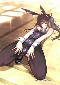 (C90) [Kuragamo (Tukinowagamo)] BUNNY IROIRO