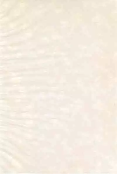 [Butsuri Absorber. (Arisaka K)] Ika-chan ni Hidoi koto suru Hon (Splatoon)