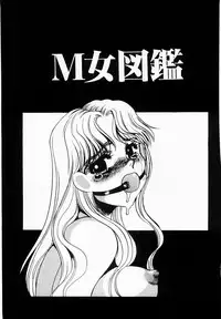 [Umino Yayoi] Initiative -Shudouken-