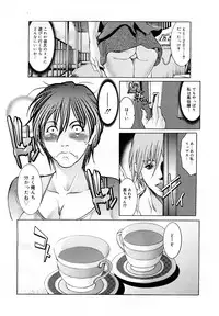 COMIC Mega GOLD 2007-09 Vol.3