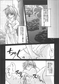 [Shizaki Masayuki] Abyssinian