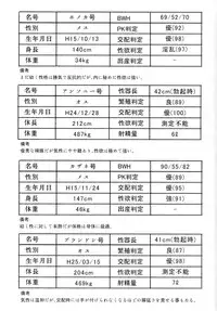 (C91) [774House (774)] Hadakahime Honoka San Kyodai Osubuta vs Chounouryoku Shoujo!