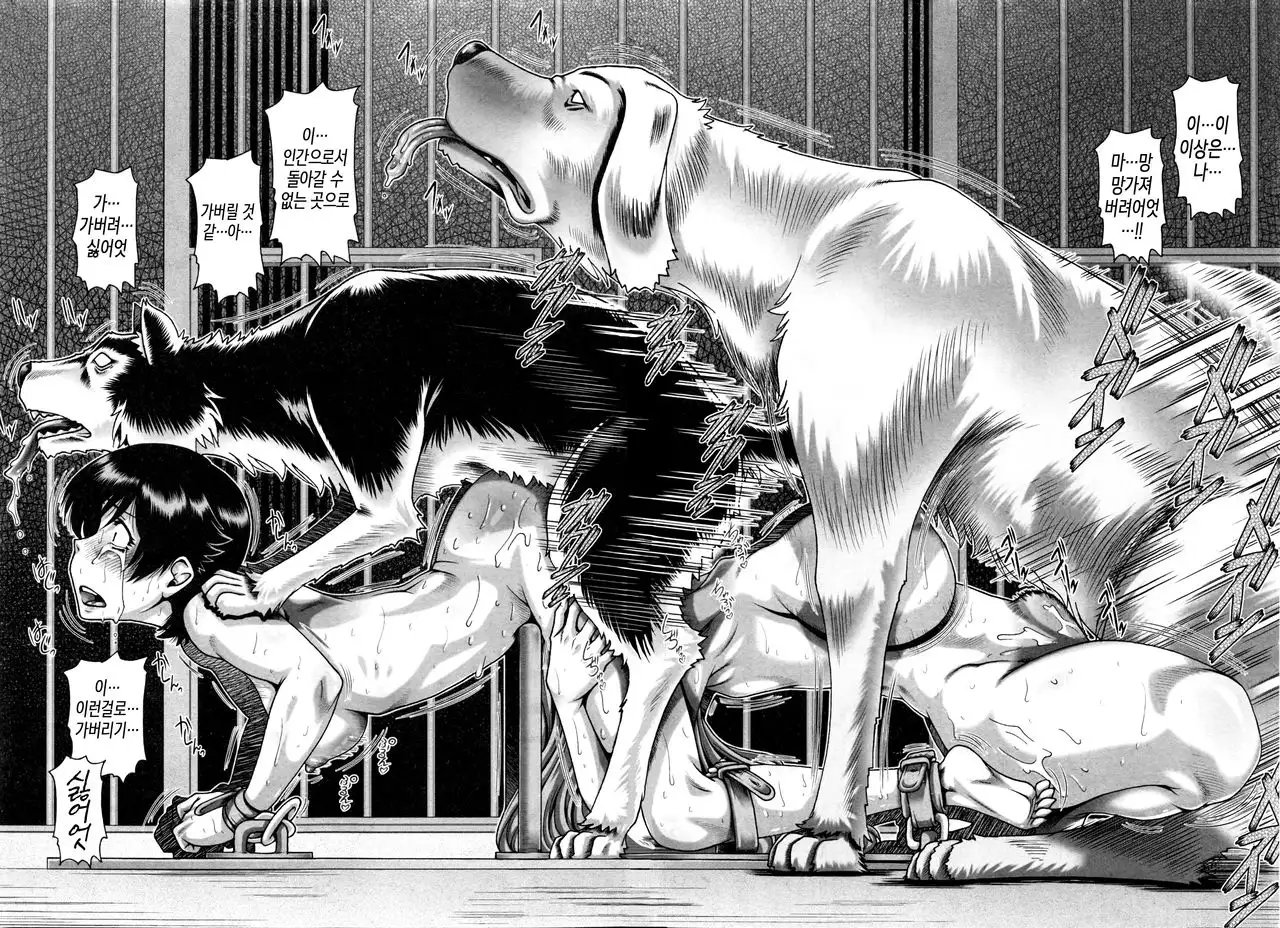 Jyuai Kantsu | 수애간통