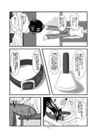 [Endless Requiem (yasha)] Midare Tengu (Touhou Project) [Digital]