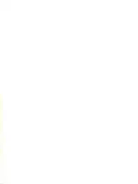 (C59) [Shinanoya (YAMA)] V-TIC 19 (To Heart)