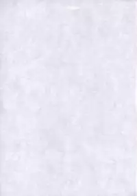 (C70) [Gambler Club (Kousaka Jun)] Eva Nyan Goranshin (Mahou Sensei Negima!) [English] [Trinity Translation]