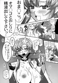 (C70) [Studio Mizuyokan (Higashitotsuka Rai Suta)] HIGH MEER (Gundam SEED Destiny)